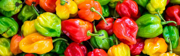 Hero Chillis
