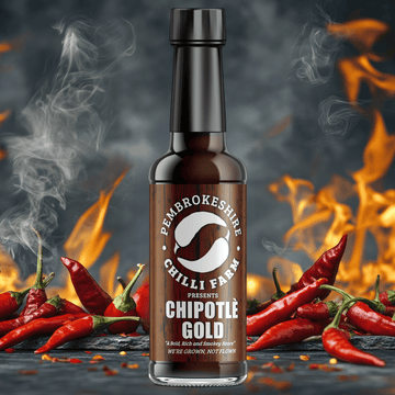 Chipotle Gold Chilli Sauce | 150ml | Pembrokeshire Chilli Farm - One Stop Chilli Shop